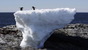 S2_penguins_on_ice_climate_change