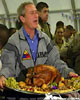Bushturkey