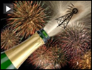 Lpfm-celebrate
