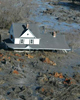Spill at Tennessee Coal Plant Creates Environmental Disaster 