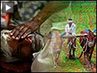 Indiafarmers_button