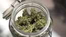Reu-usa-marijuana_legaliz-1