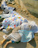 Qanamassacre2006