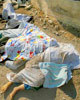 Qanamassacre2006