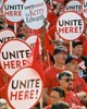 Unite-here-web