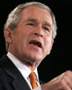 Bush10