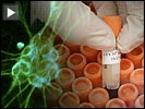 Stemcell