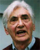 Zinn