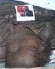 Haitimass01
