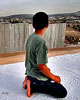 Palestinewall