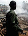 Congosoldierweb