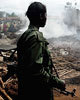 Congosoldierweb