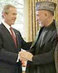 Bushkarzai5-24