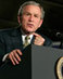 Bush935web