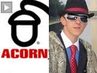 Acornweb