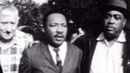Mlkwalk2