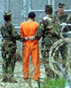 Guantanamo3-14