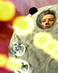 Temp-image_1_36