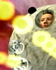 Temp-image_1_36
