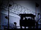 Guantanamo-bay