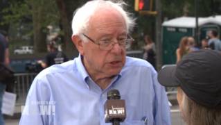 Sanders