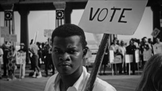 Freedom summer2