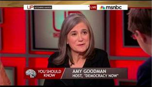 Goodman on hayes