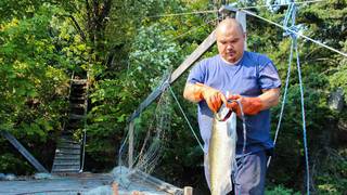 Salmonfishing1