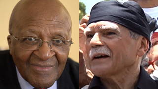 Tutu rivera split