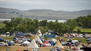Pipeline vogue
