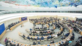 S un human rights council