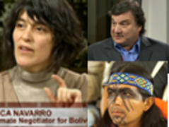 Navarro democracynow copia