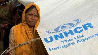 H12 bangladesh