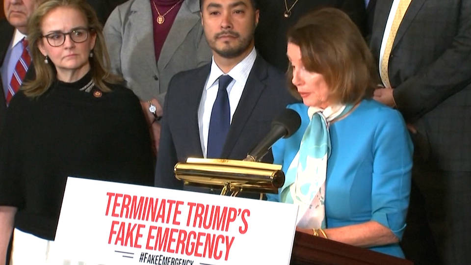 H4 fake emergency vote