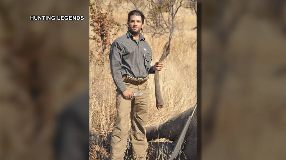 h14 trump jr elephant kill