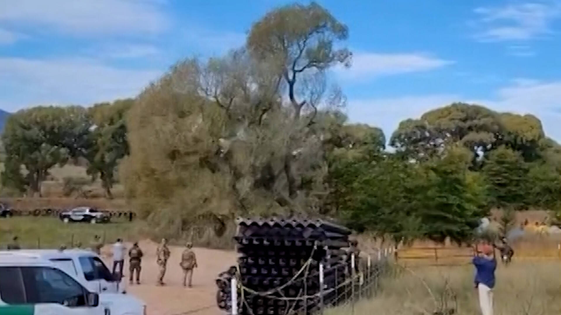 Border Patrol Arrests 20 and Cuts Down Historic Tree for Wall