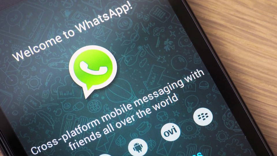 H11 whats app