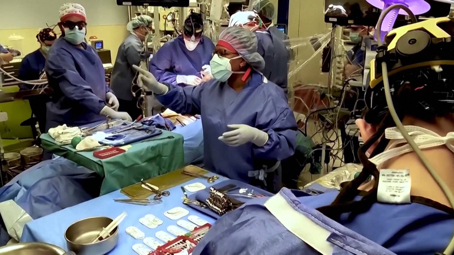 In a First, Doctors Transplant Heart of Genetically Altered Pig into a Human