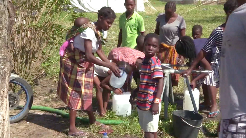 H8 mozambique cholera