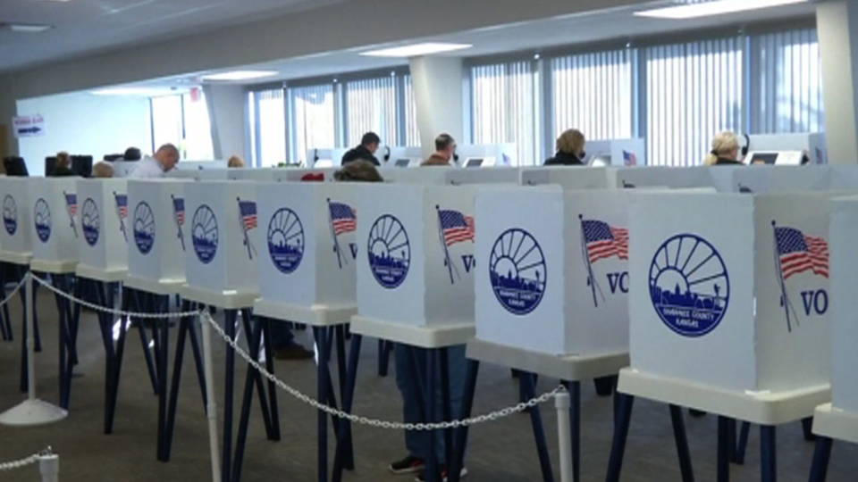 H10 texas voting