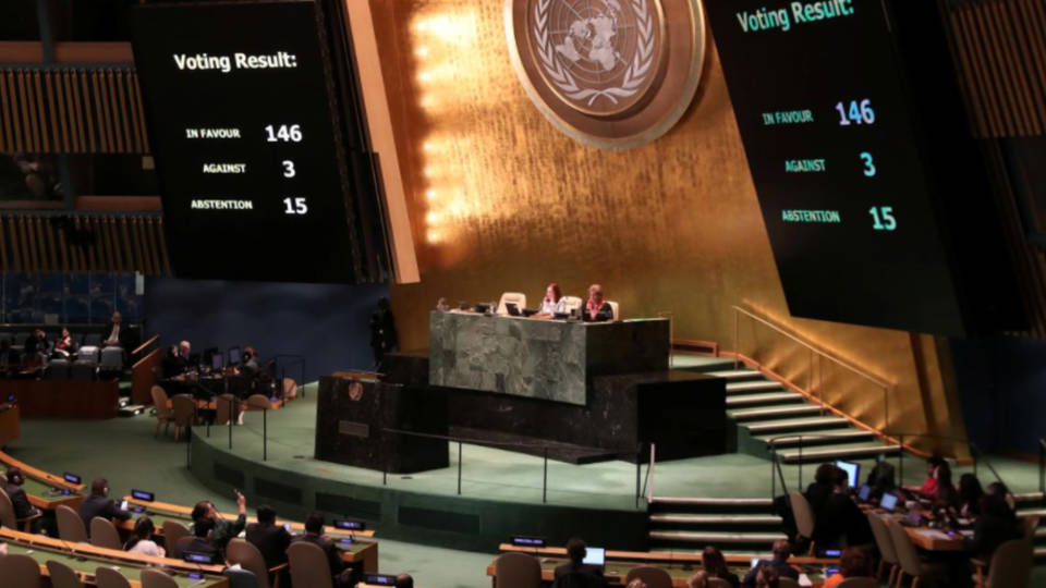 H11 un palestine vote