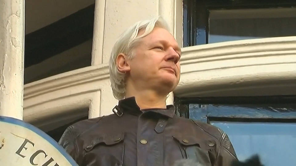 H10 assange
