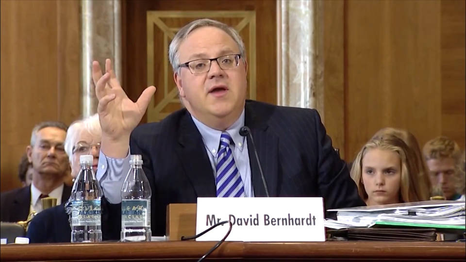 H6 bernhardt
