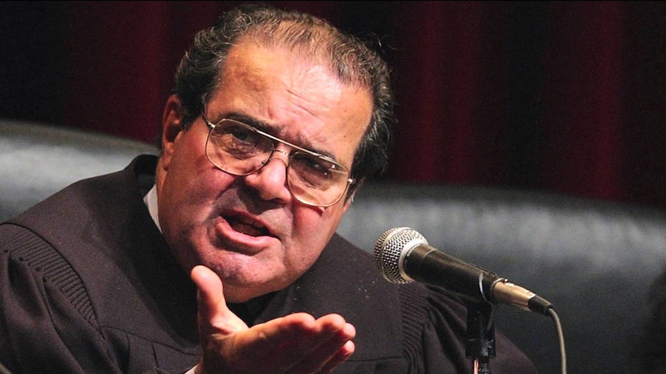 Hdlns1 scalia