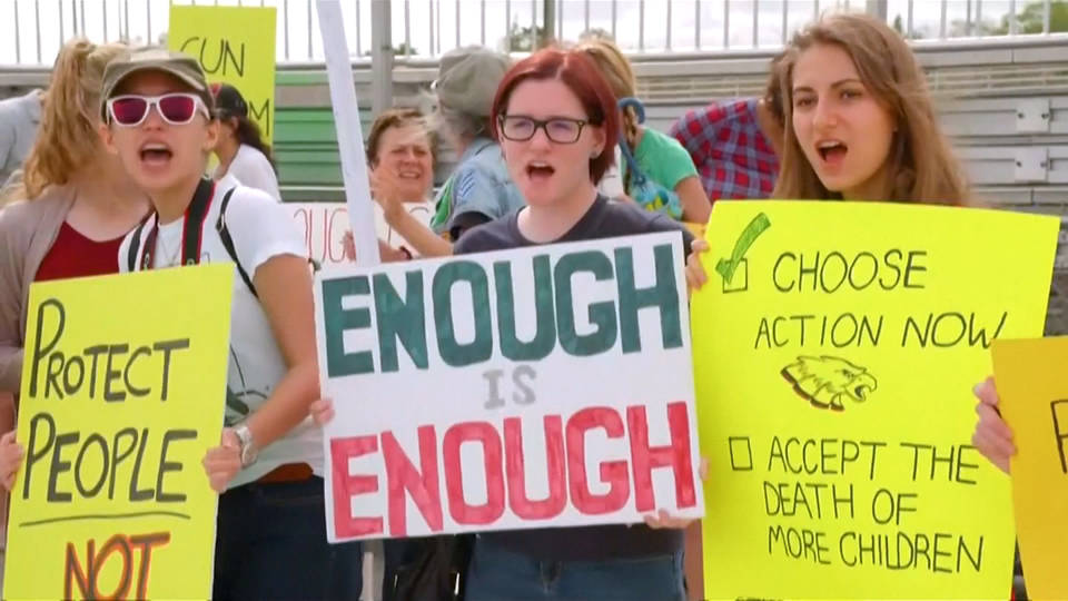 H9 teacher gun law fails florida