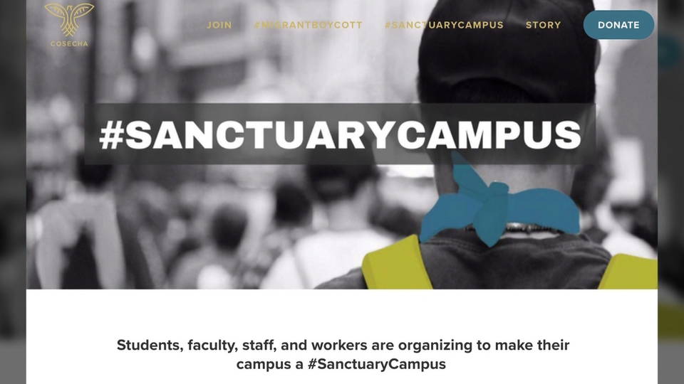 H02 sanctuary campuses