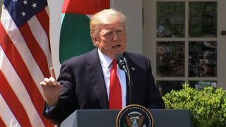 Trump syria