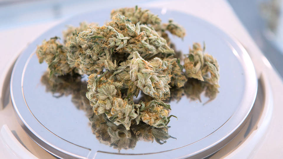 H15 new mexico decriminilizes minor marijuana possession
