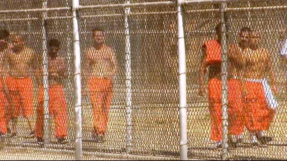 H14 alabama prisons sexual assualt violence