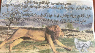 H afghanleaflet